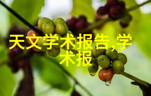 固定床反应器在环境保护中的角色与意义