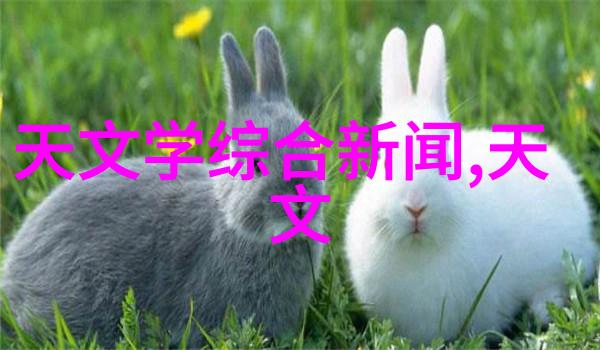 如何进行化工包装检测设备的维护和升级