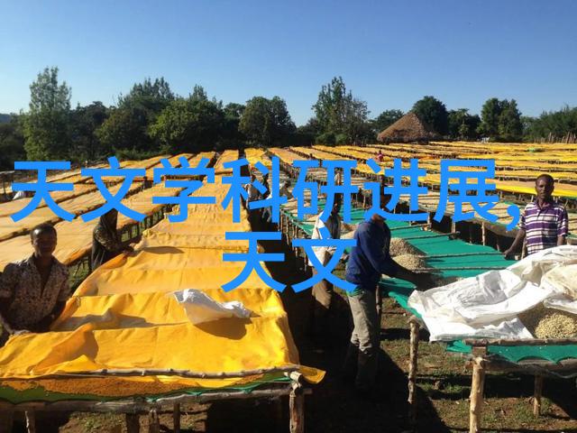 家用中药萃取机亲自尝试我是如何在家轻松制作中药茶的