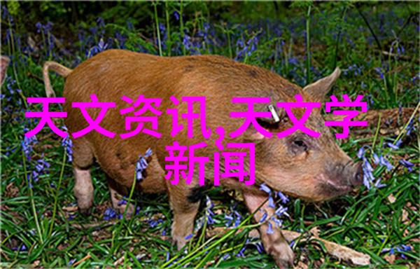 1012对辊制砂机在建筑材料生产中的应用