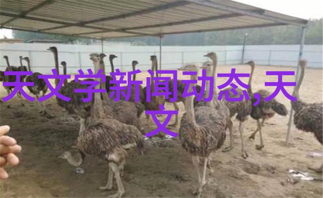 油水分离器内部结构图解析揭秘清洁技术的核心机制