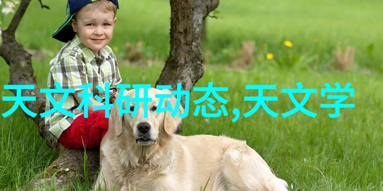 立式圆锥形料仓犹如不锈钢加工的守护者坚固而耐用
