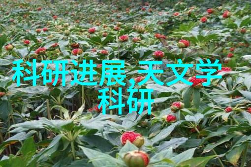最新电子产品新科技-触摸未来最新电子产品新科技的奇迹与应用