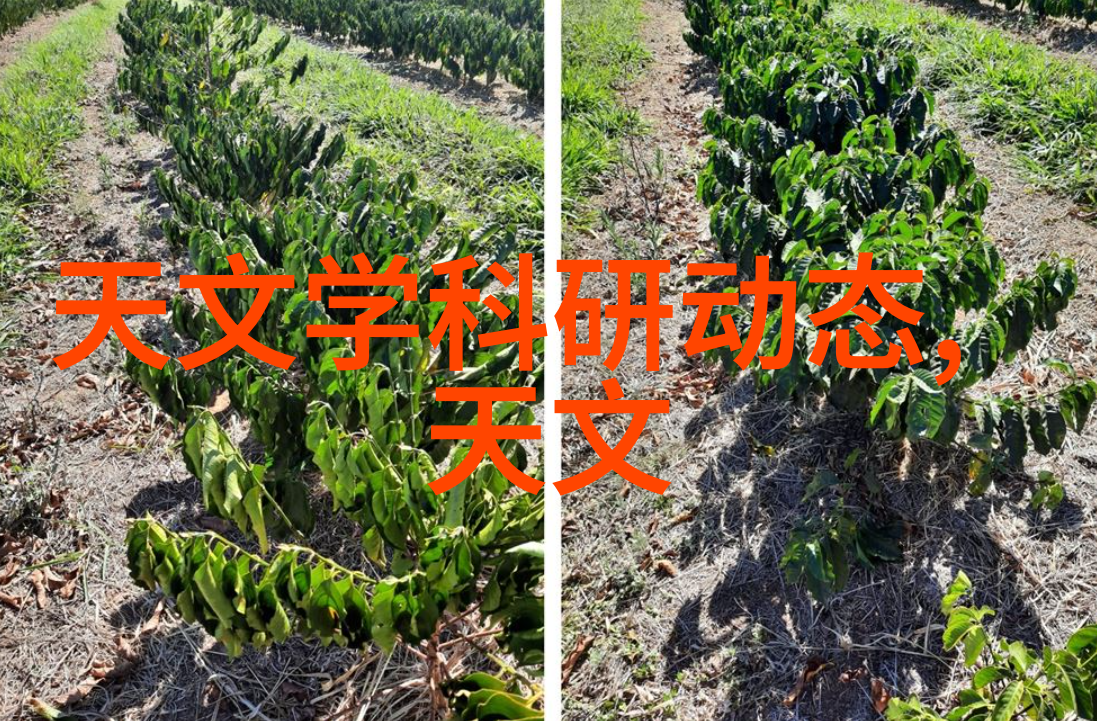 高效分离技术深度剖析过滤油水分离设备的应用与优势