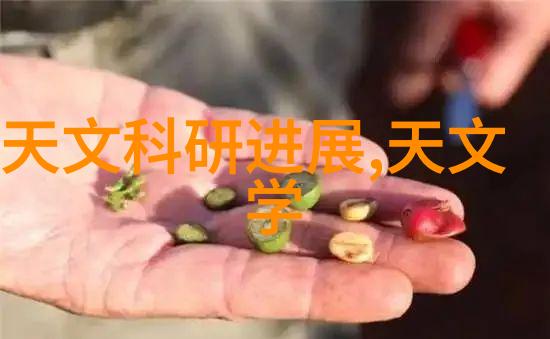 懒人做饭新宠米家空气炸锅45L大冒险人才评估测试的美味挑战者