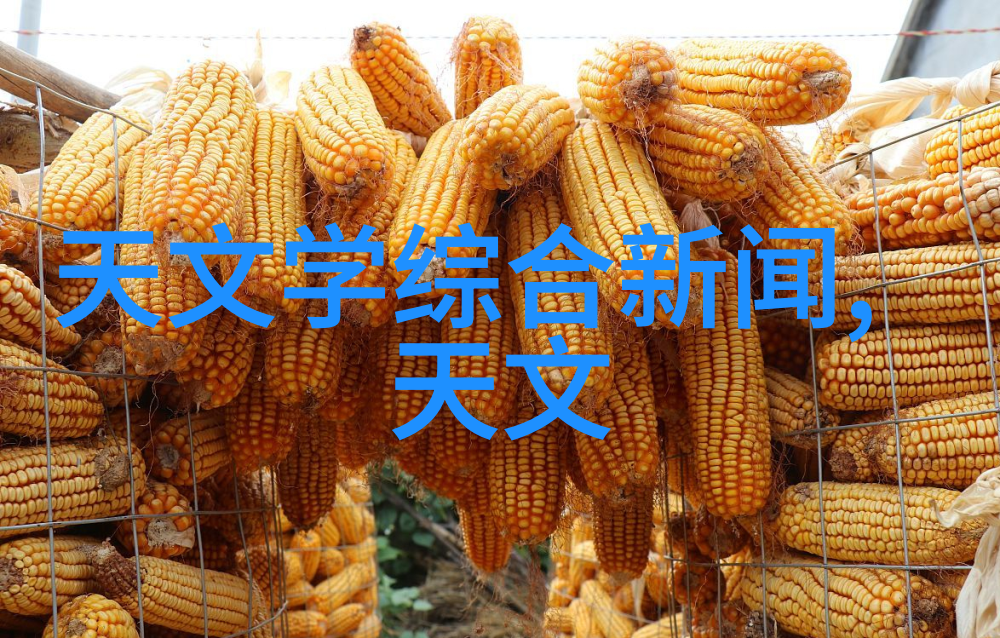 水利局-水利局的主要工程项目及其作用