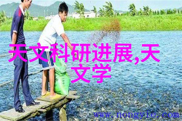 定制化防治方案高效节省成本现代杀虫公司的收费新趋势