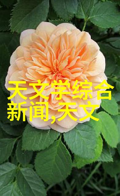 沥青搅拌设备-高效混凝土施工的关键配件