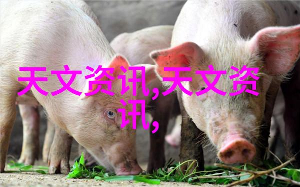 套管式换热器-高效能温控系统的核心组件