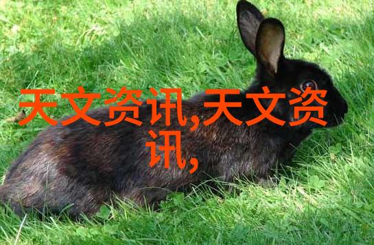 水利水电工程专业课程体系概述从基础理论到实践应用的全方位学习路径