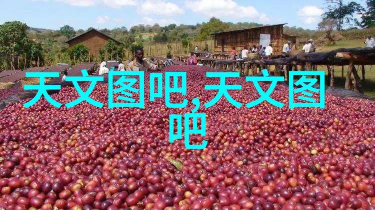 揭秘正常水质指标了解饮用水安全的关键参数