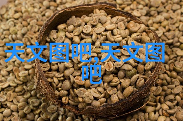 固定床反应器工作原理解析催化剂固定气体流动与化学反应的协同效应