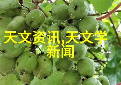 人性独特之处探索