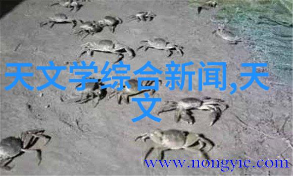 新款厨房装修效果图绽放买电磁炉即赠大礼上周热销排行榜TOP5爆红