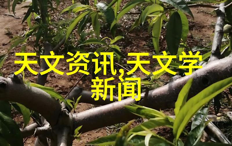 中国采购大师开启商贸新篇章