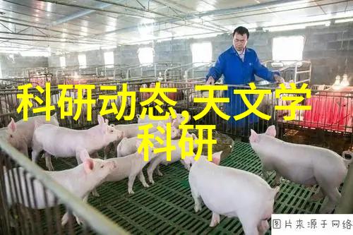 不锈钢的种类及其应用概述