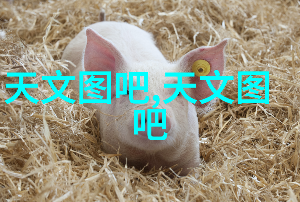 抗朽之韵防腐材料的诗篇