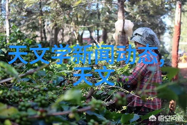 膜技术化工行业的革新力量