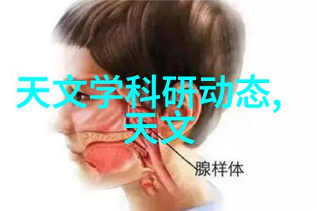 乱堆填料和规整填料的特点-堆砌智慧探究乱堆与规整填料的区别与优势