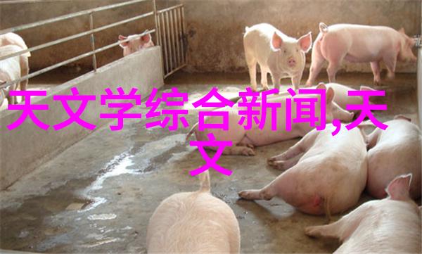 管材分类全解析从铁质到合金探秘不同材料的应用与特性