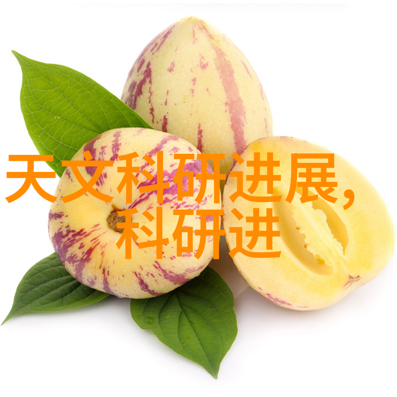 制定合理预算确保你的项目资金申请成功通过审查