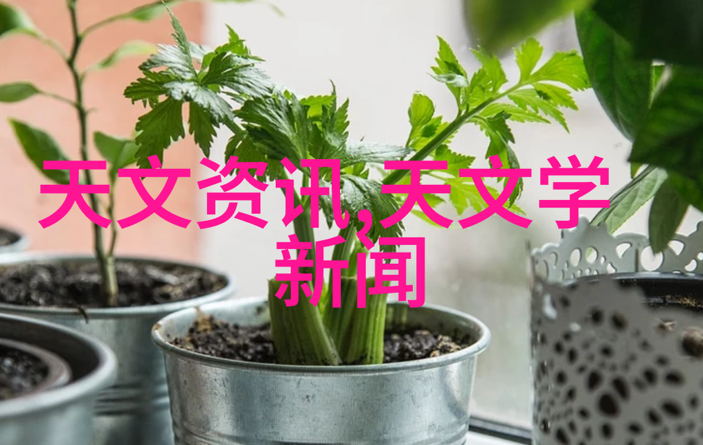 MBBR生物填料技术在水处理中的应用与创新