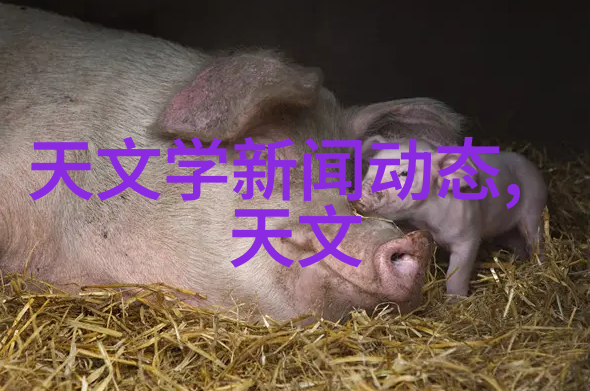 流体辨识者水与油的分界之舞