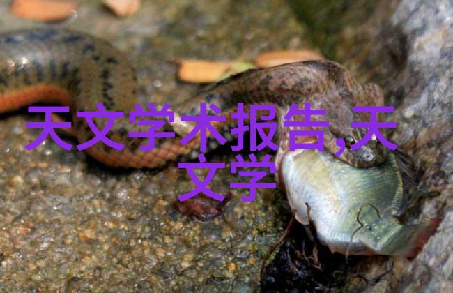 现代简约客厅装修图片-轻奢雅致现代简约客厅装修设计灵感汇总