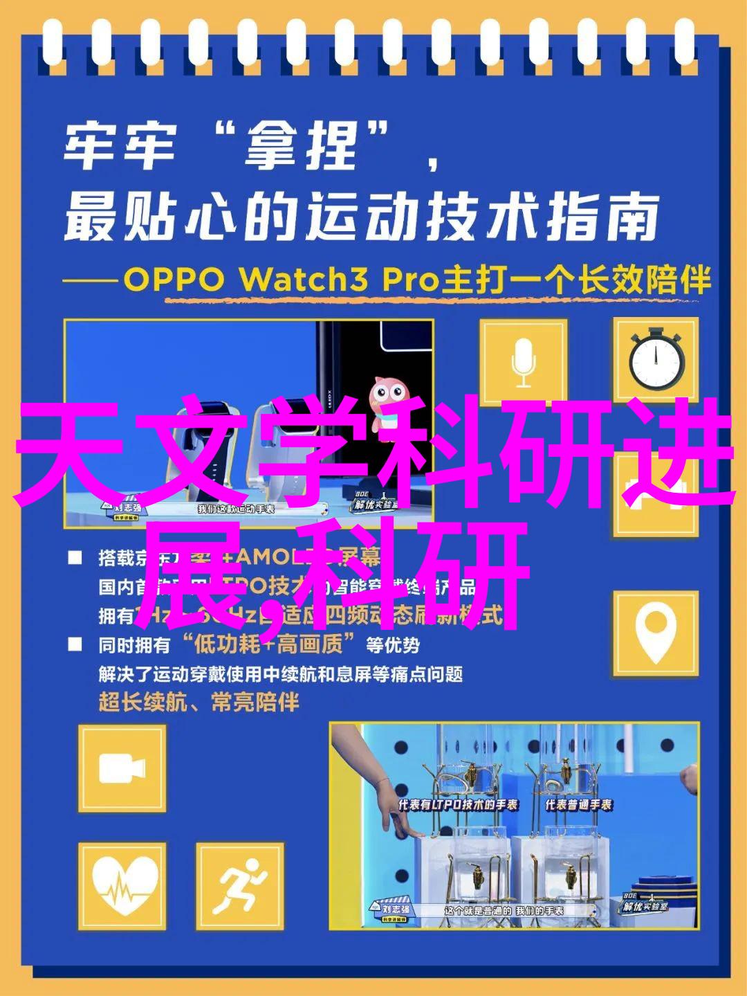 江苏财经职业技术学院隐藏在校园深处的金融密码之谜