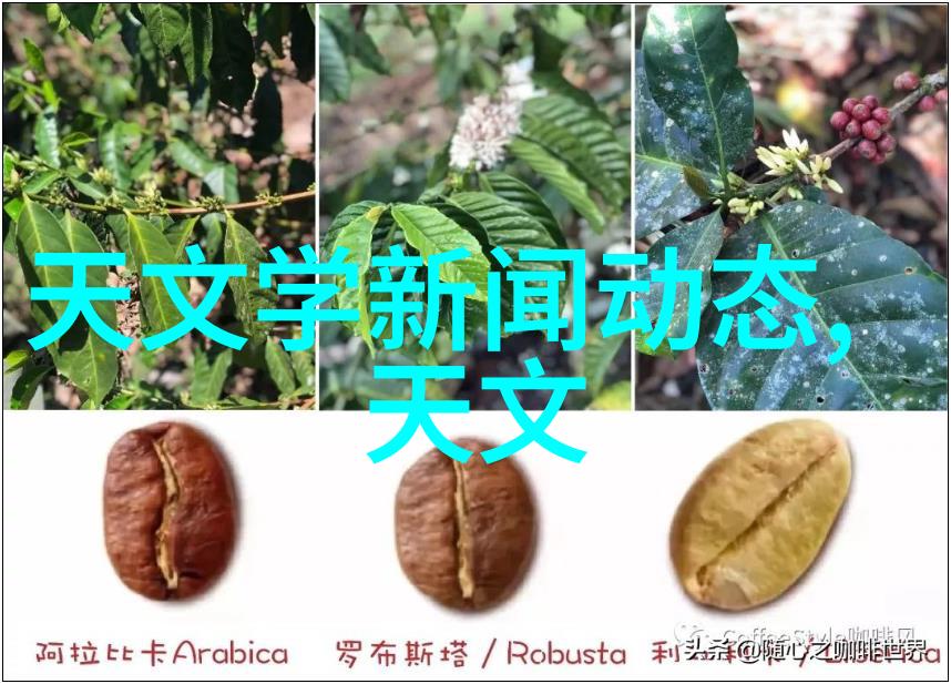 化工设备安全管理-精细化管理提升化工设备运营的安全防线