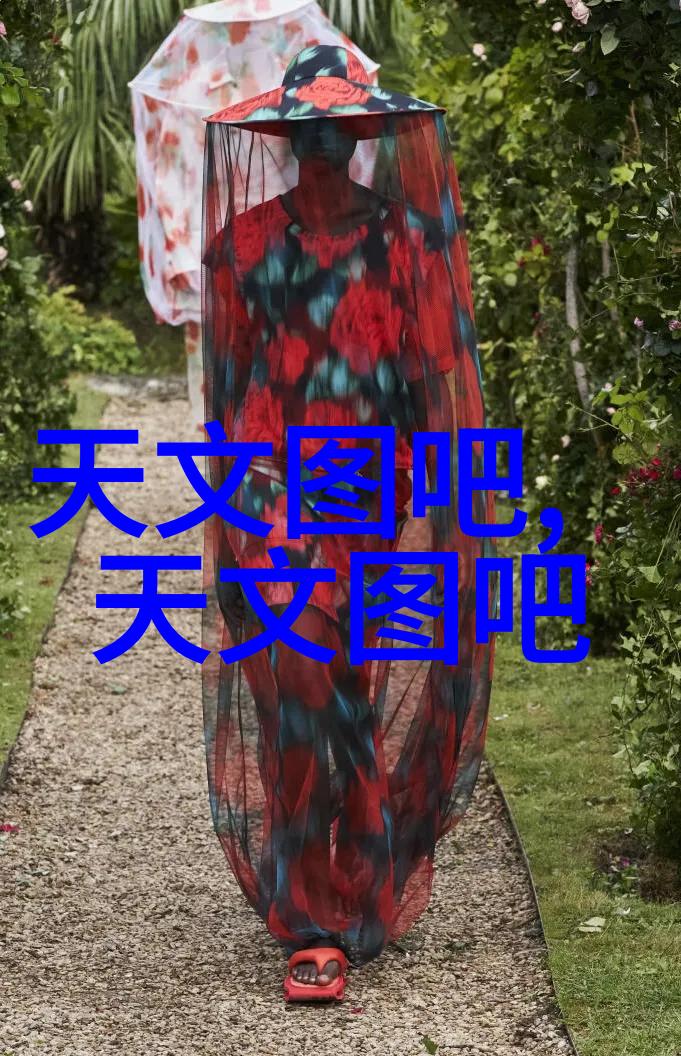 化学实验室的秘密反应器结构简图揭秘