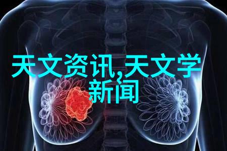 长期使用316不锈钢晾鞋架反复体现其耐用性与安全性能