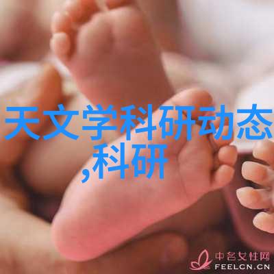 实习生成长记在合肥职院的工作经验分享