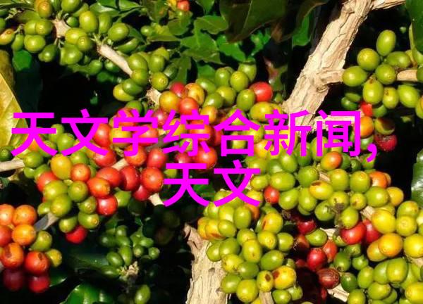 填料塔的作用是什么