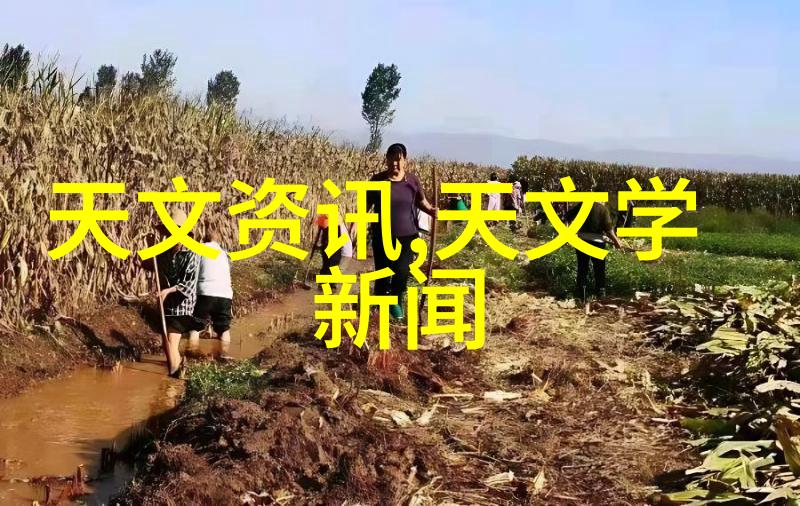 上海江南制药机械有限公司我在这里的故事从一名普通员工到团队领袖的奇遇