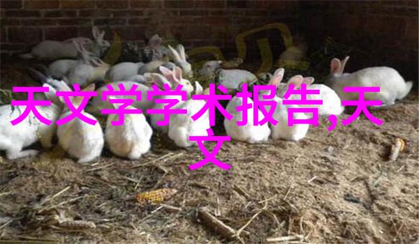 不锈钢波纹板填料耐腐蚀的选择提高储罐效率