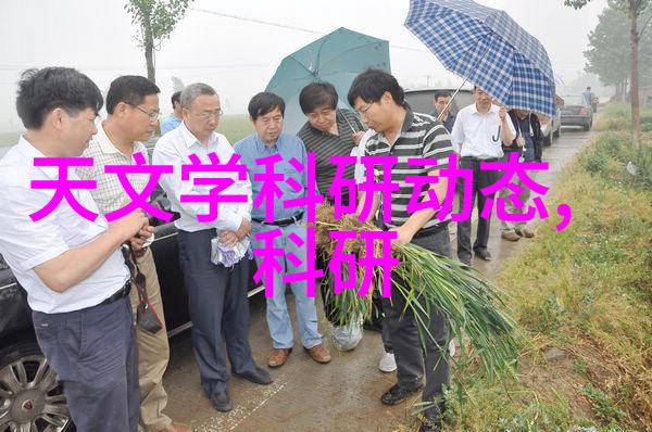 沐风网网络世界的轻柔洗礼