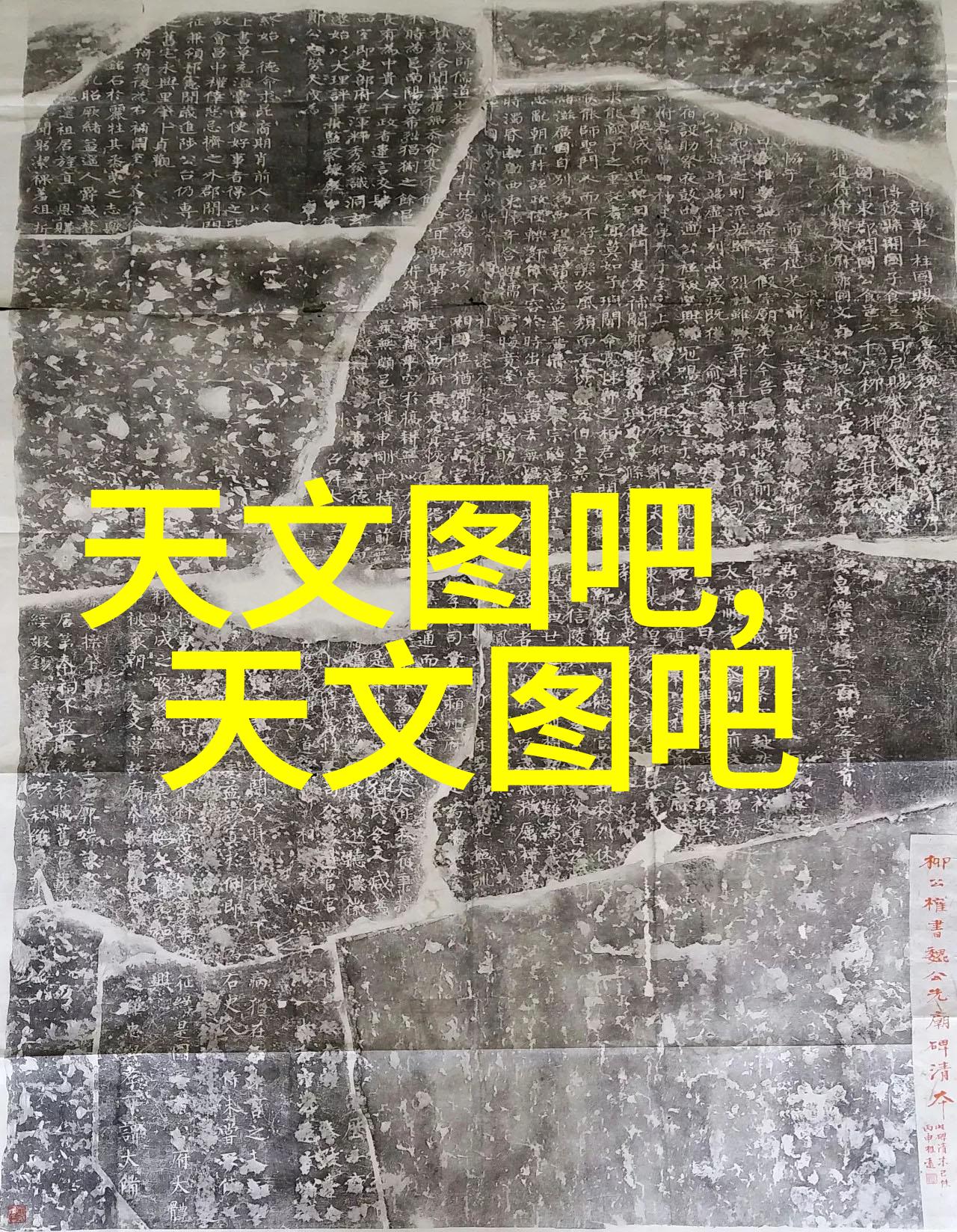 DN50金属环矩鞍填料助力系统优化
