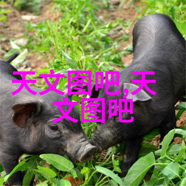 探索智能时尚可穿戴设备的特征与未来趋势