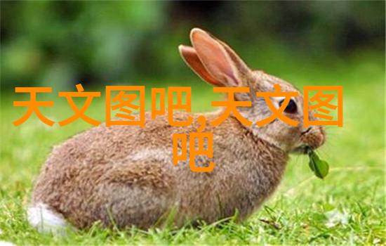 食品包装消毒的高科技守护者UV光照射设备的奇迹