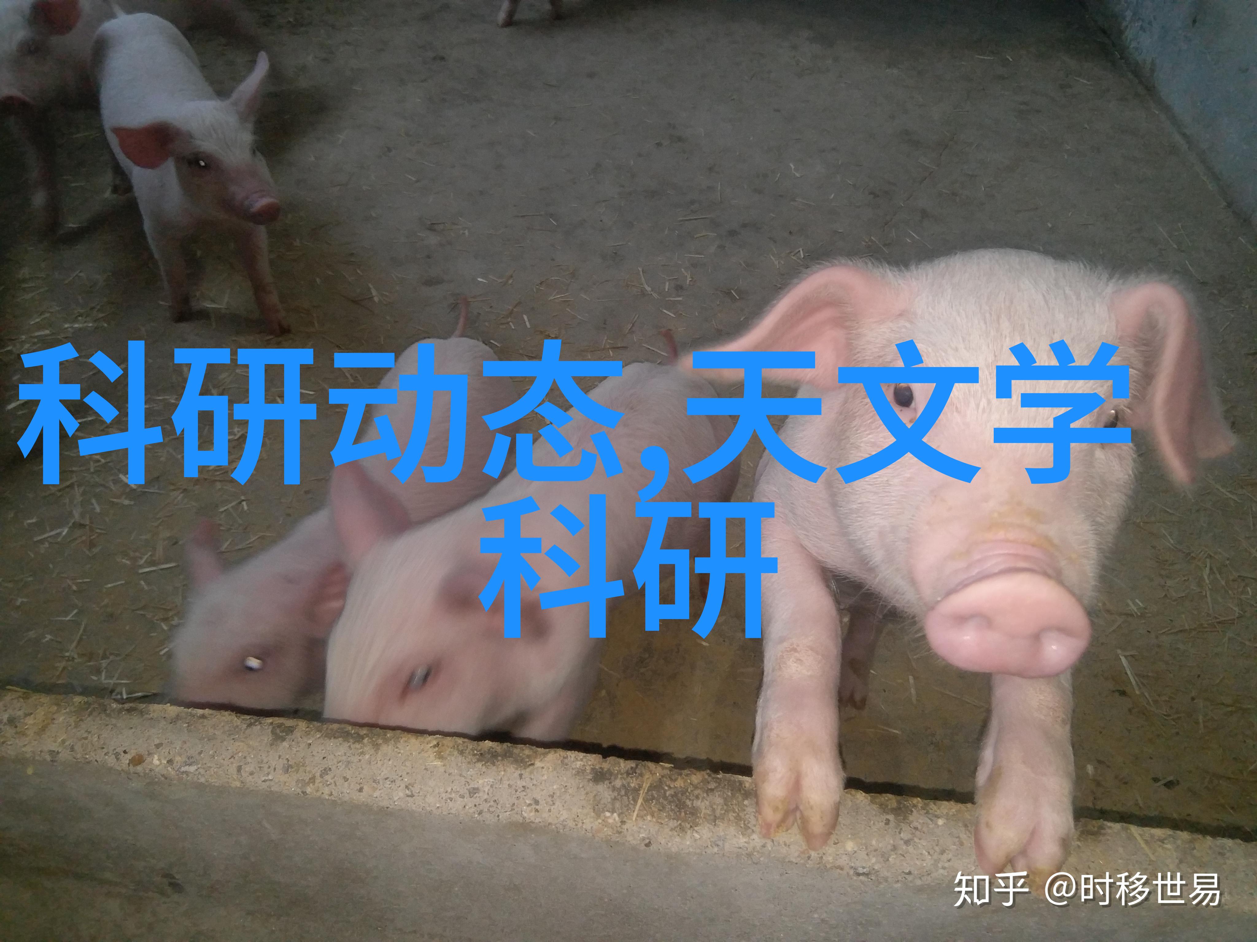 智能时代的视觉师机器视觉培训之旅