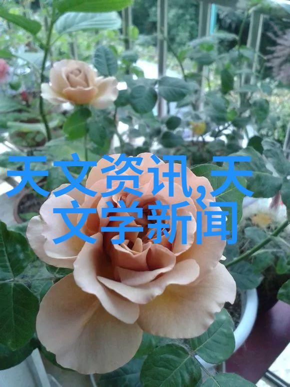 蒸汽之舞缤纷的汽化器交响曲