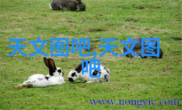 客厅装修效果图简约我的居家小窝变身舒适角落