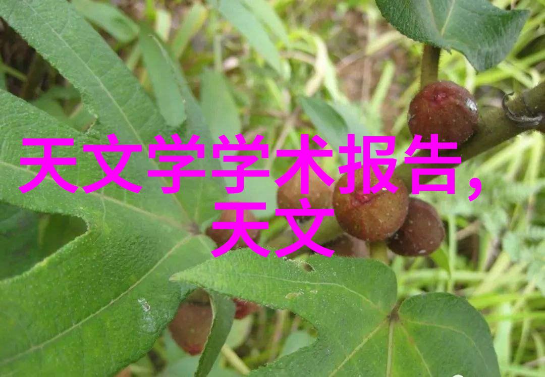 新兴材料对未来包装检测设备的影响