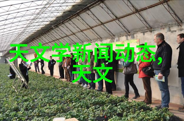 从零到英雄如何用幽默笔触编织出闪耀的申请报告