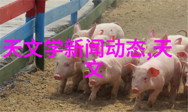 磁性分离器强磁场的精准筛选者