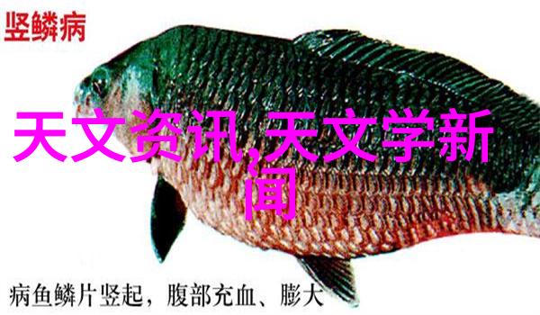 天津财经大学培养金融人才的殿堂