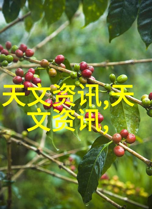 自主装修指南如何设计出梦想居所