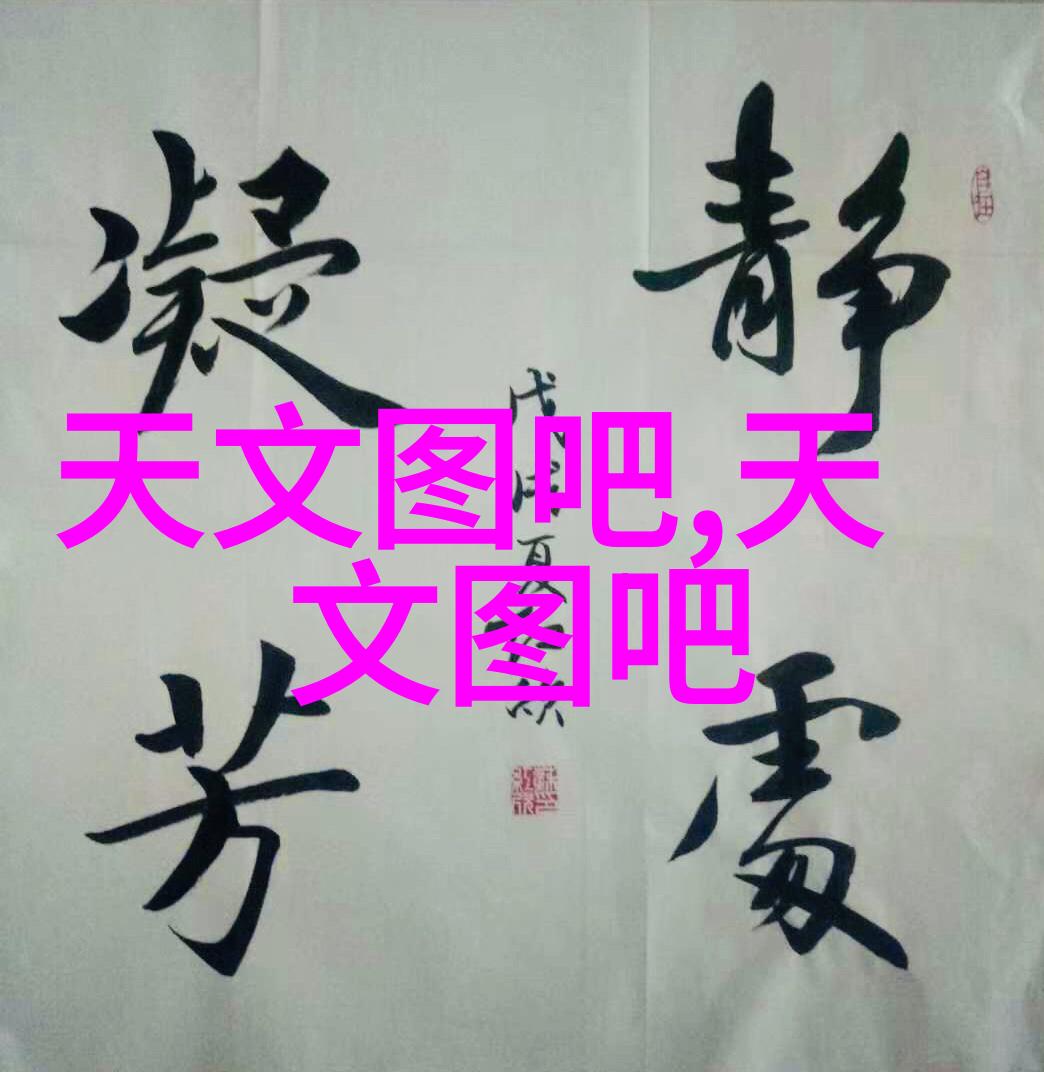 卫生阀的秘密生活从水龙头到隐私卫士