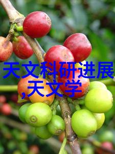 碎裂的梦想超微粉碎机之歌